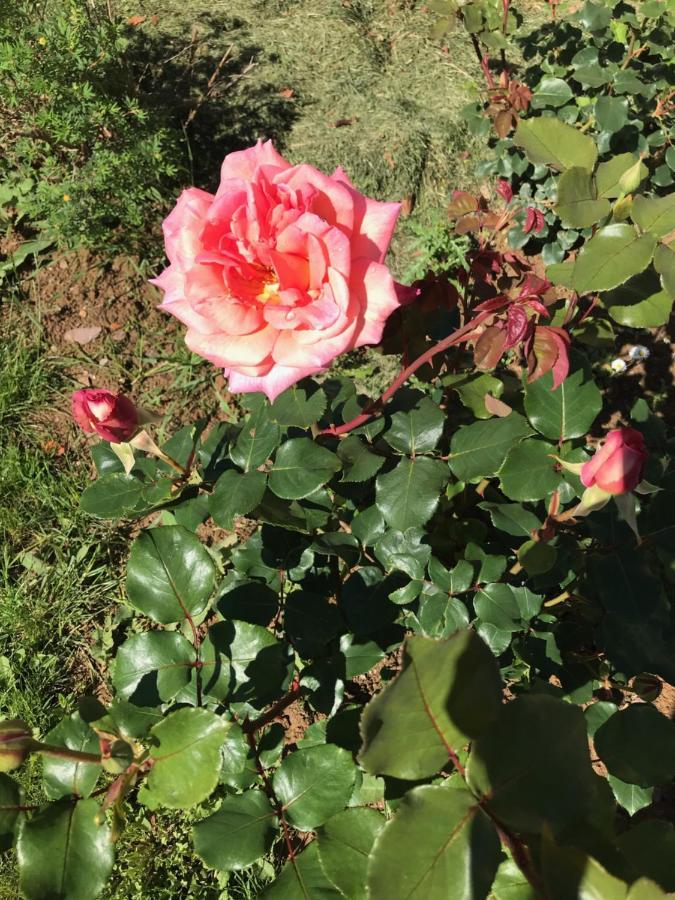 Maison Blanche En Cote De Nacre Mathieu 外观 照片