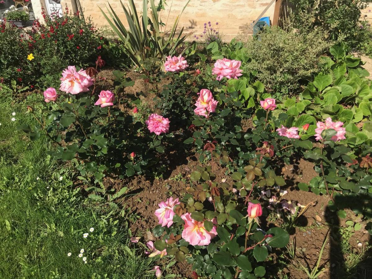 Maison Blanche En Cote De Nacre Mathieu 外观 照片